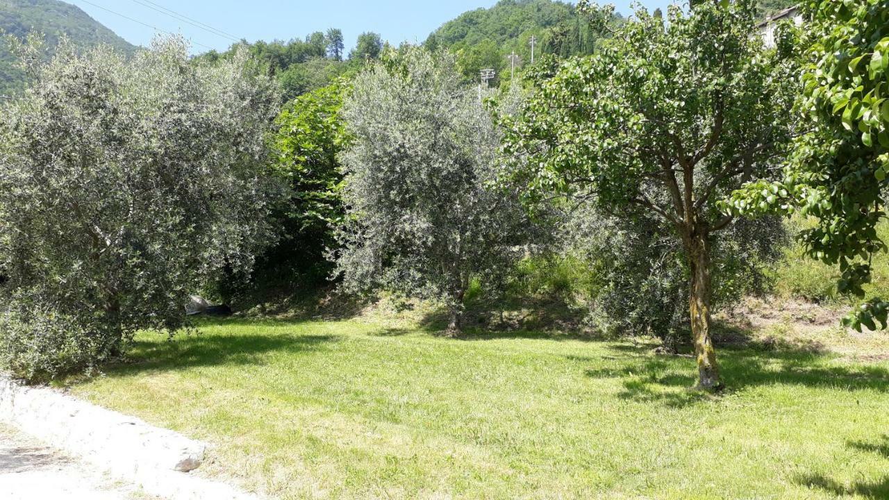 Casa Gina Garden And View By Gardadomusmea Villa Tremosine Eksteriør bilde